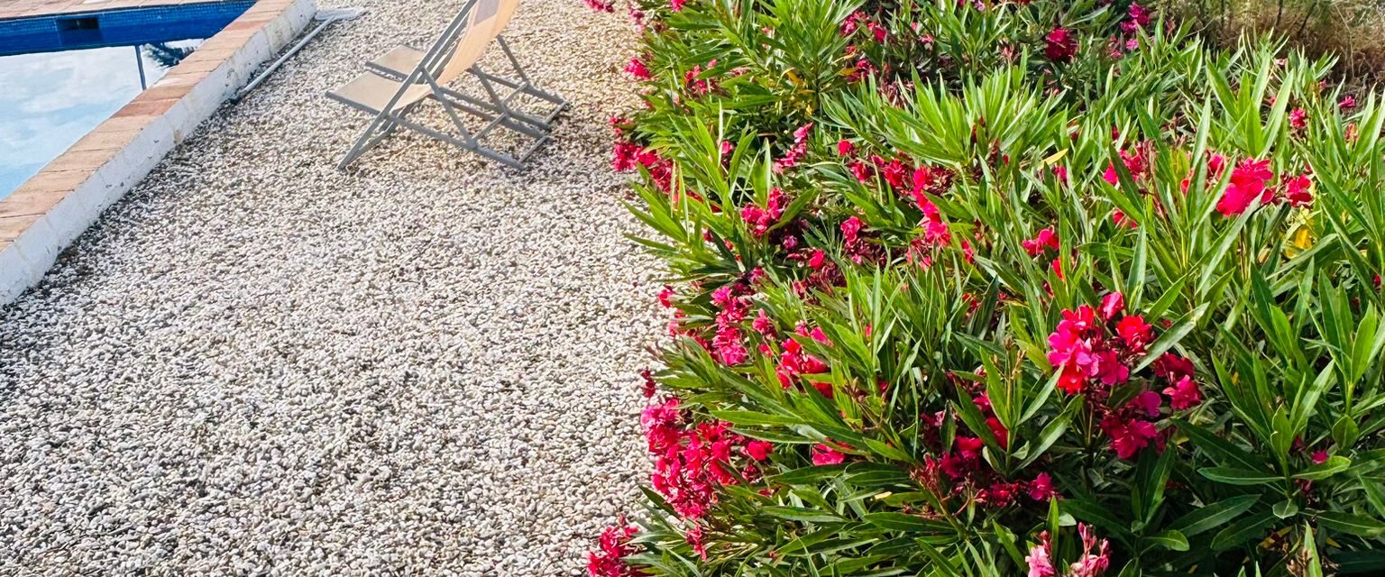 PHOTO-2025-06-08-19-32-54